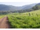 Lot 321 Bunnan Road, Scone NSW 2337