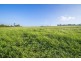 Lot 321 Bunnan Road, Scone NSW 2337