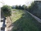 39 Bimbadeen Drive, Muswellbrook NSW 2333