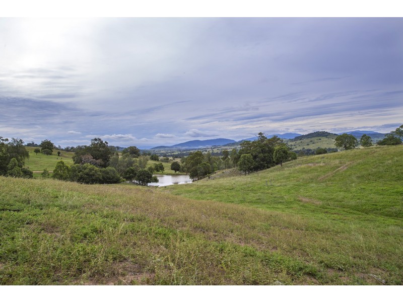 1006 Rouchel Road, Rouchel NSW 2336