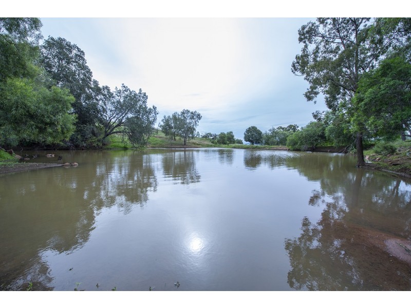 1006 Rouchel Road, Rouchel NSW 2336