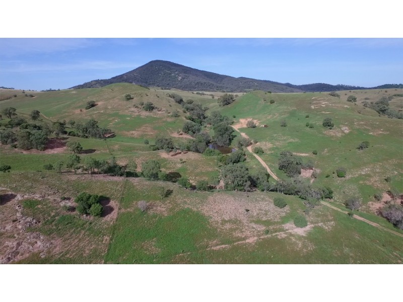 1006 Rouchel Road, Rouchel NSW 2336