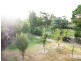 14 Abercairney Terrace, Aberdeen NSW 2336