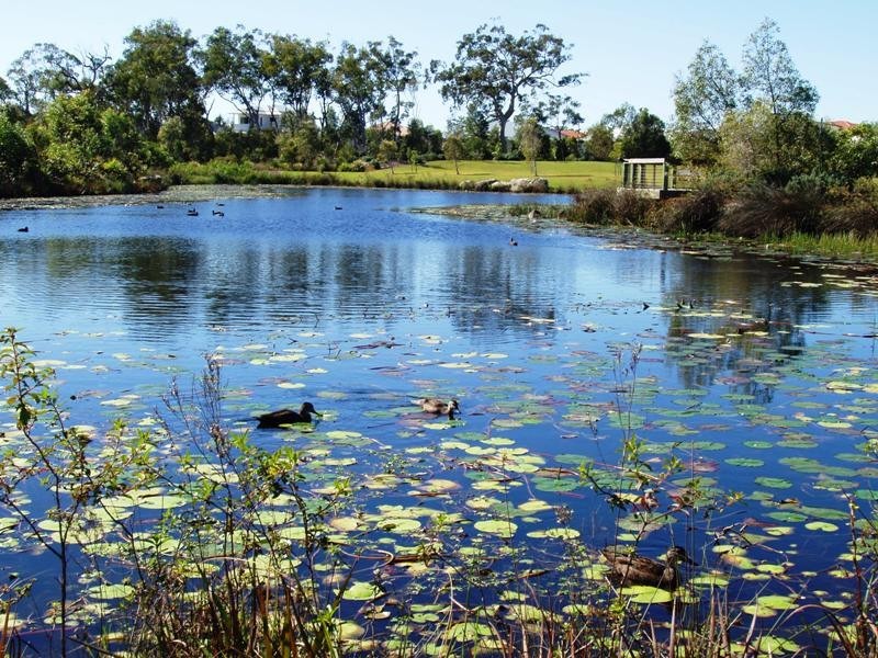 Peregian Springs QLD 4573