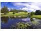 Eumundi QLD 4562