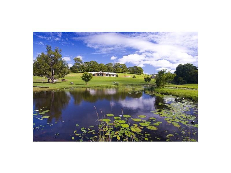 Eumundi QLD 4562