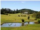 Eumundi QLD 4562