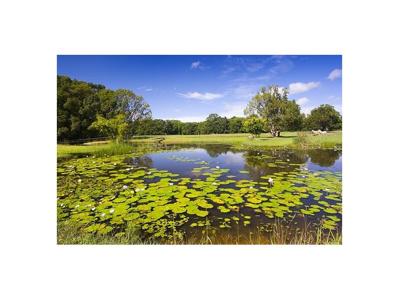 Eumundi QLD 4562