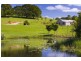 Eumundi QLD 4562