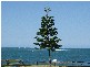 Moffat Beach QLD 4551