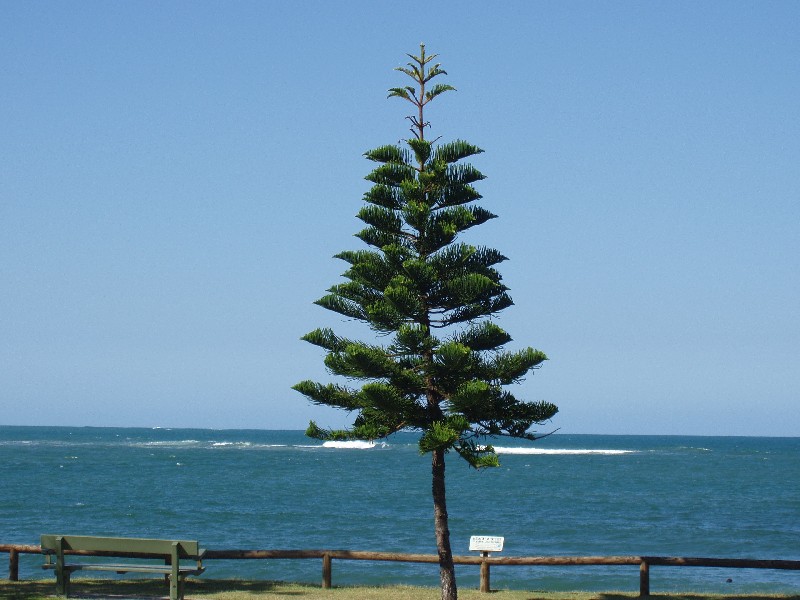 Moffat Beach QLD 4551