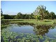 No.19 Finley Rd, Eumundi QLD 4562