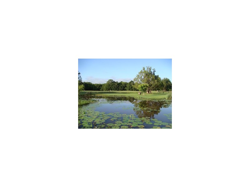 No.19 Finley Rd, Eumundi QLD 4562