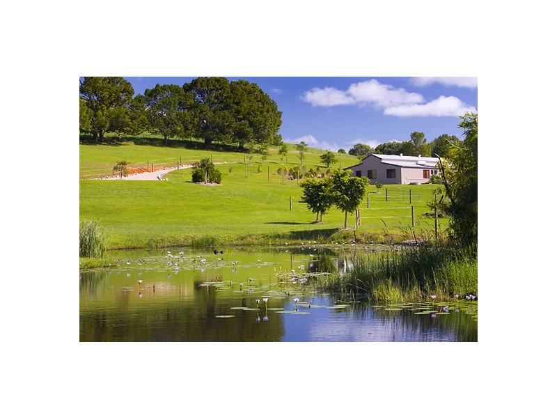 No.19 Finley Rd, Eumundi QLD 4562