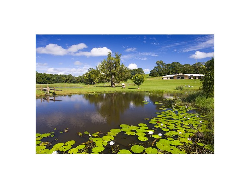 No. 019 Finley Road, Eumundi QLD 4562