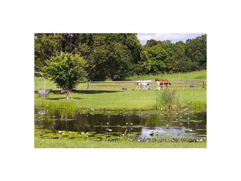No. 019 Finley Road, Eumundi QLD 4562