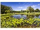 No. 019 Finley Road, Eumundi QLD 4562