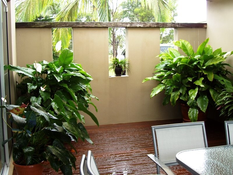 Boreen Point QLD 4565