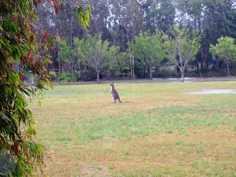 Boreen Point QLD 4565