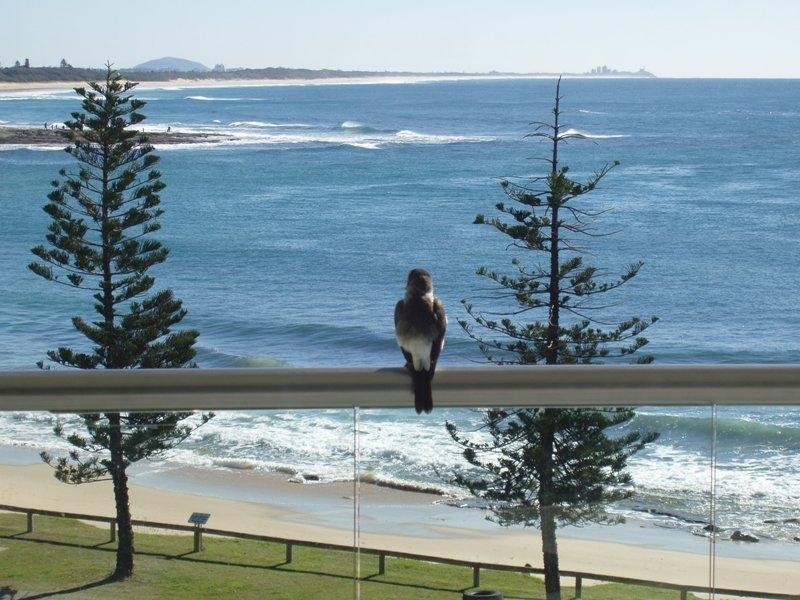 Moffat Beach QLD 4551