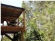 Eumundi QLD 4562