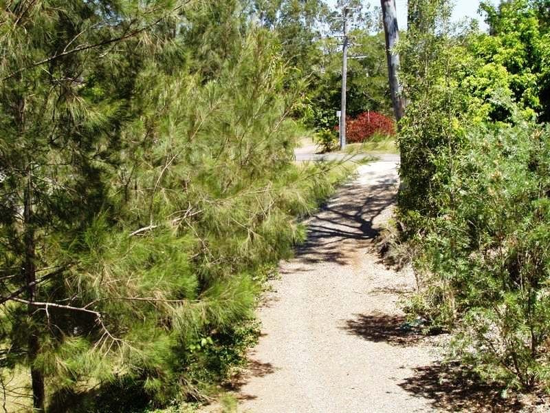 Eumundi QLD 4562