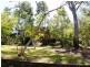 Eumundi QLD 4562