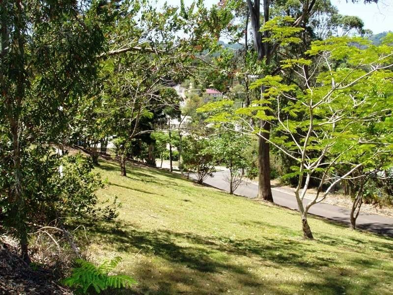 Eumundi QLD 4562