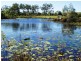 Peregian Springs QLD 4573