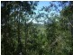 Eumundi QLD 4562