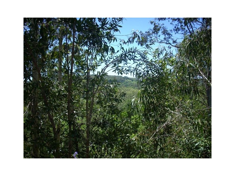 Eumundi QLD 4562
