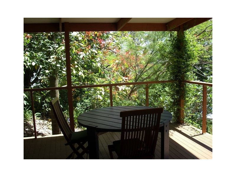 Eumundi QLD 4562