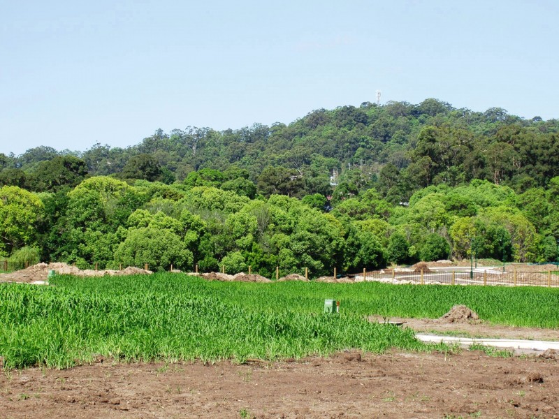 Coes Creek QLD 4560