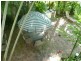 15/298 Sheridan St, Cairns QLD 4870