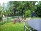 15 Sirius Street, Bentley Park QLD 4869