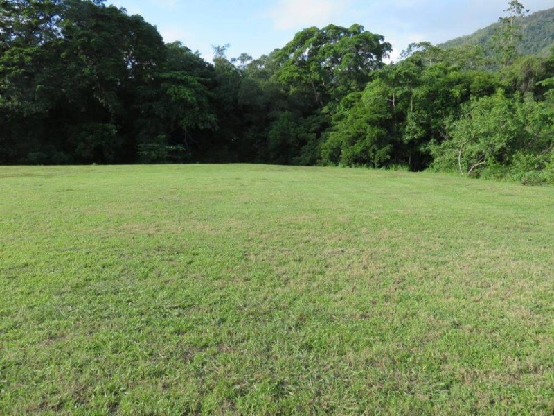 4 Latania Close, Palm Cove QLD 4879