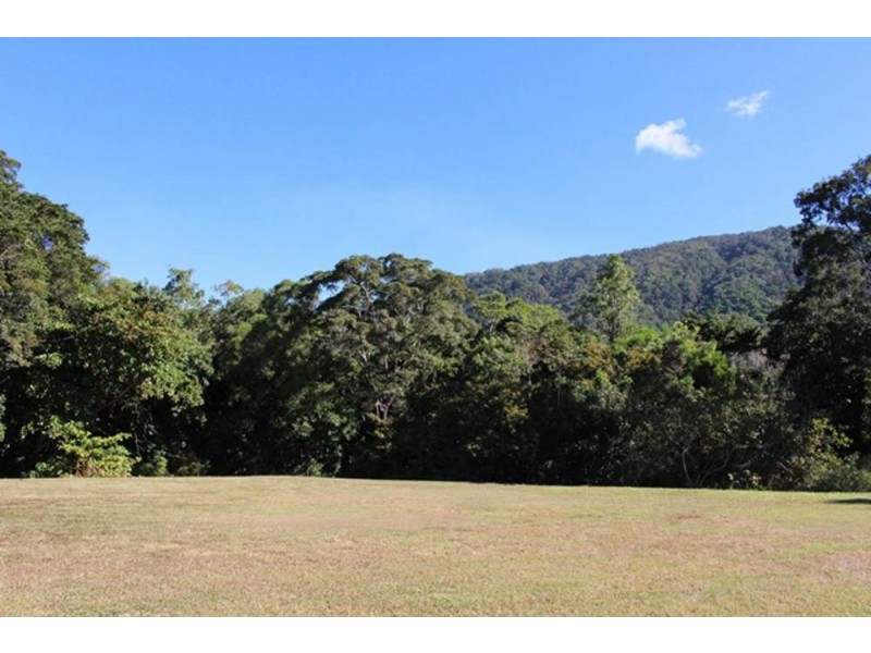4 Latania Close, Palm Cove QLD 4879
