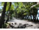 4 Latania Close, Palm Cove QLD 4879