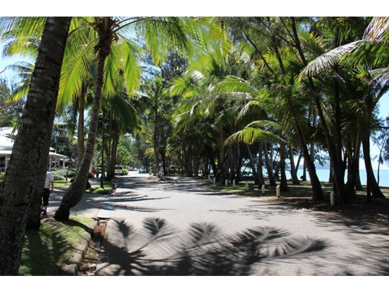 4 Latania Close, Palm Cove QLD 4879