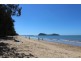 4 Latania Close, Palm Cove QLD 4879