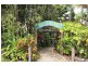 Lot 5 Mossman-Daintree Road, Daintree QLD 4873