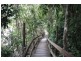 Lot 5 Mossman-Daintree Road, Daintree QLD 4873