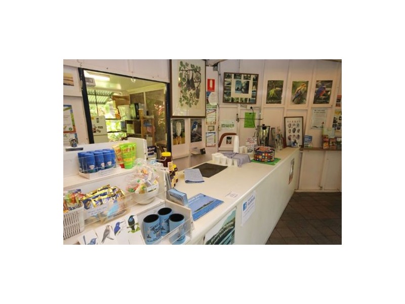 Lot 5 Mossman-Daintree Road, Daintree QLD 4873