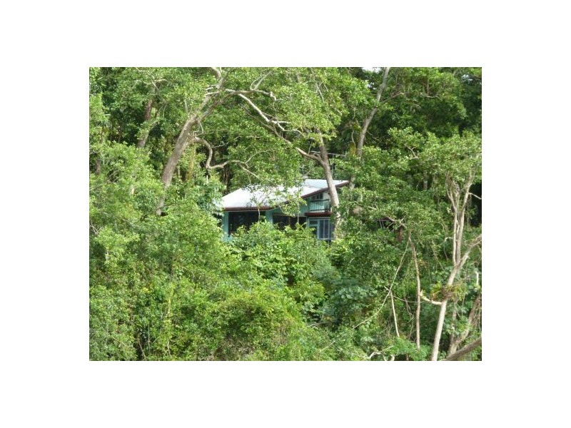 Lot 5 Mossman-Daintree Road, Daintree QLD 4873
