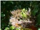 lot 2 Lindsay Rd, Carmoo QLD 4852
