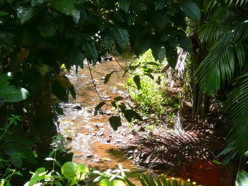 lot 2 Lindsay Rd, Carmoo QLD 4852