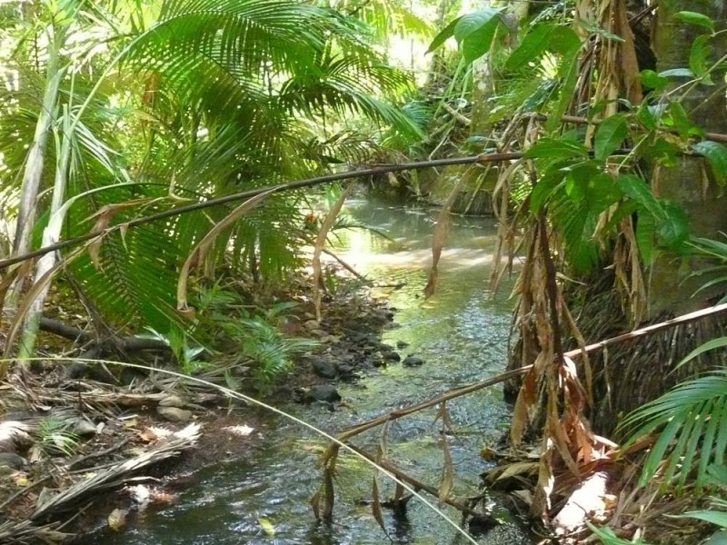 lot 2 Lindsay Rd, Carmoo QLD 4852