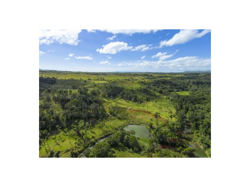 235 Turner Road, Tarzali QLD 4885