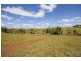 235 Turner Road, Tarzali QLD 4885