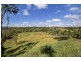 235 Turner Road, Tarzali QLD 4885